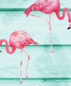Papel de parede Flamingos
