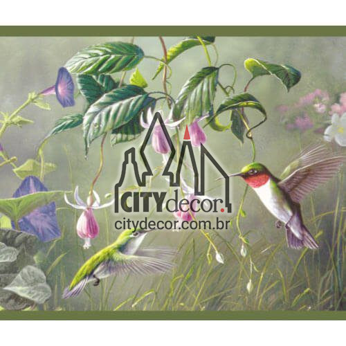 Adesivo Beija flor Adesivo Beija flor