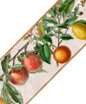 Faixa de parede frutas