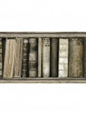 Faixa decorativa livros antigos