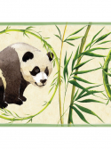 Faixa adesiva ursinho panda