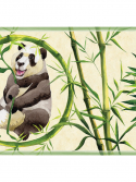 Faixa de parede urso panda