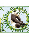 Faixa adesiva urso panda