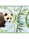 Faixa de parede urso panda