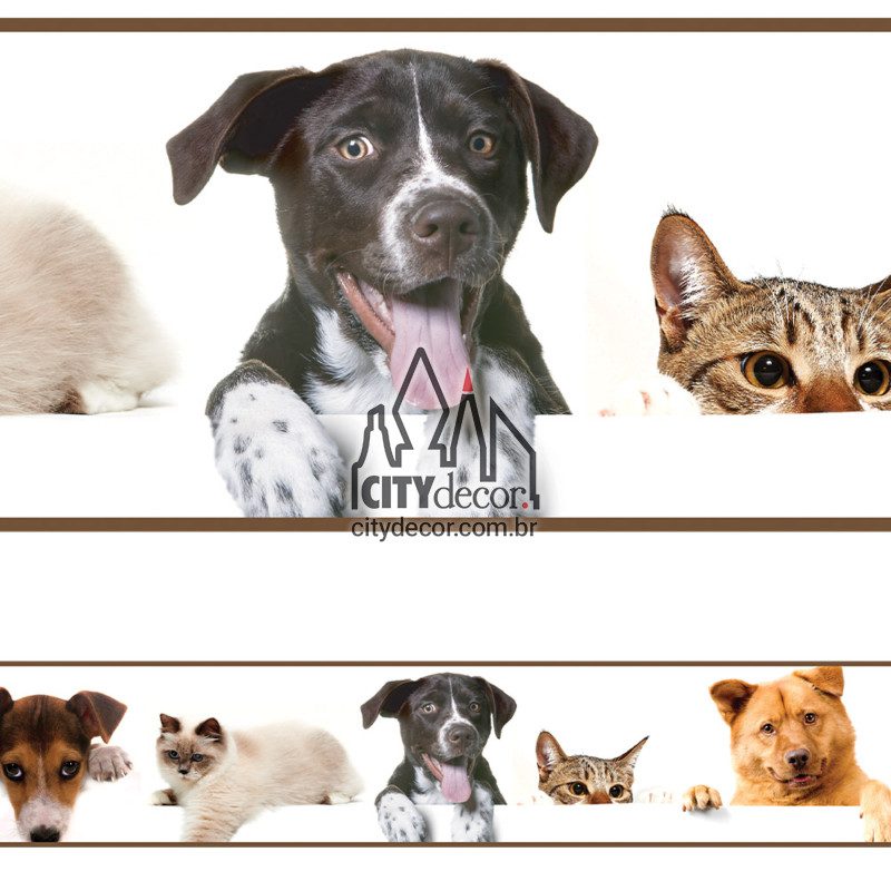 Faixa de parede para veterinário Faixa de parede para veterinário