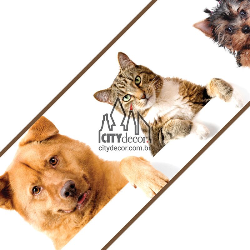 Faixa de parede para pet shop Faixa de parede para pet shop