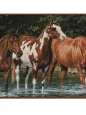 Faixa de parede Cavalos no rio
