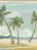 Faixa adesiva tropical