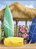 Adesivo Pranchas de surf