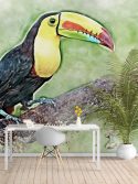 Painel fotográfico papel de parede tucano de peito amarelo