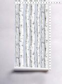 Papel de parede árvores finas galhos