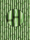 papel de parede zen