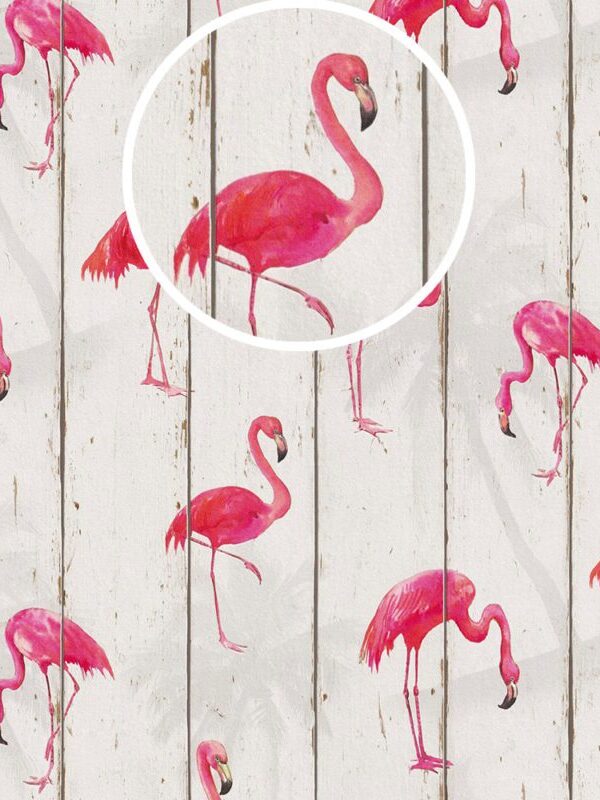 Papel de parede flamingos