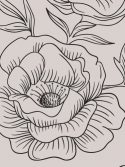Rosas de nankin