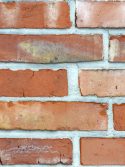 Papel de parede tijolinho de demolição