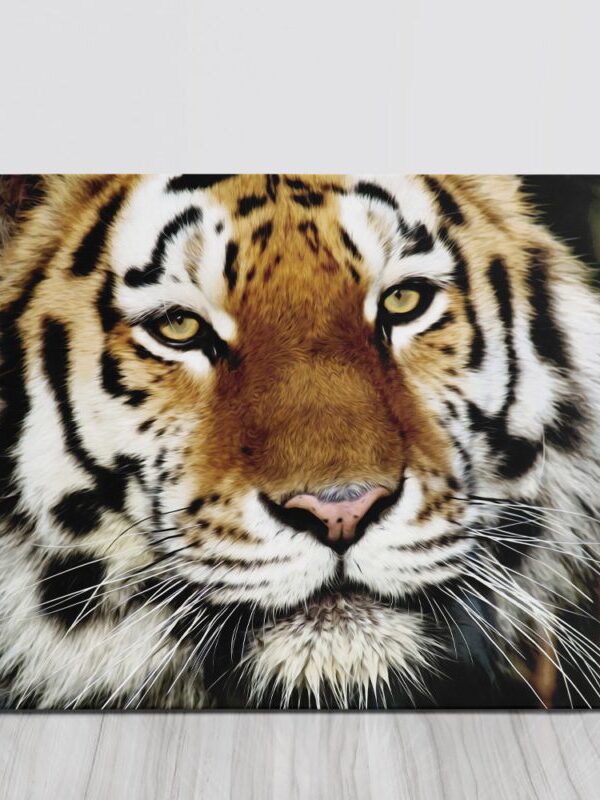 Quadro tigre