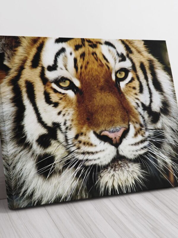 Quadro decorativo tigre