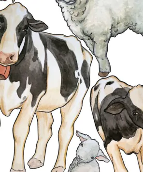 Adesivo de parede animais de fazenda