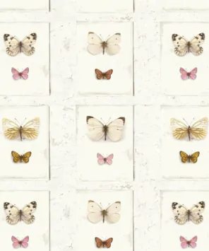 Papel de parede coleção de borboletas