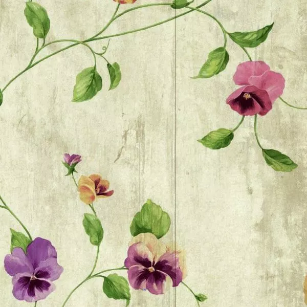Papel de parede amor-perfeito sortido